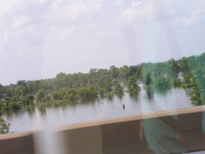 [View out side window with just treetops showing above the water.]